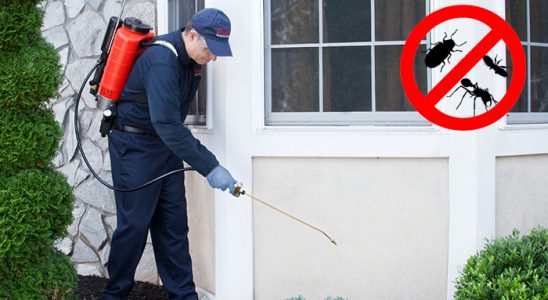 Geyve Akrep İlaçlama böcek ilaçlama ve haşere kontrolü — ilaclama-tr.com